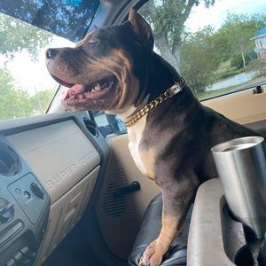 Meet your Posher, Jared